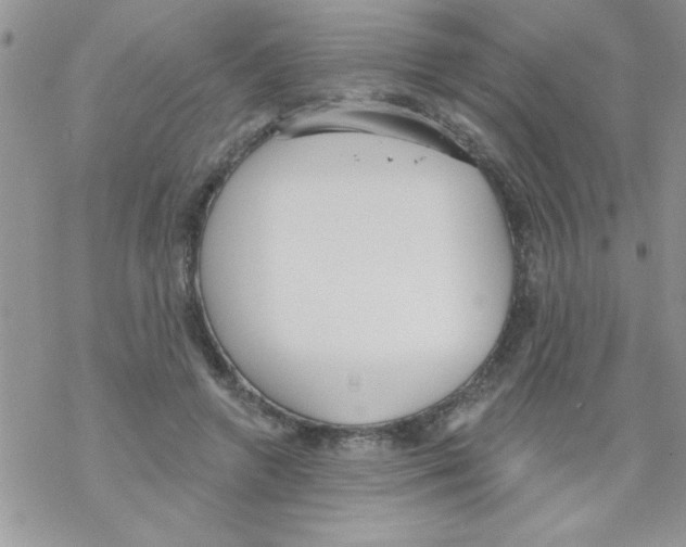 X0000069400546200606091744