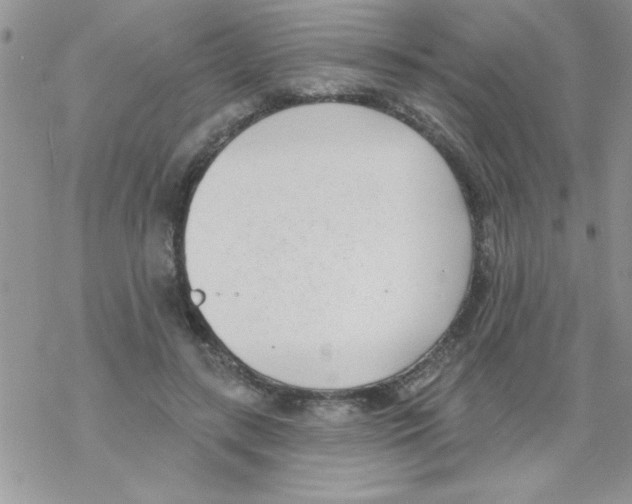 X0000069400547200606091744