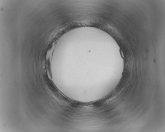 X0000069400548200606091744