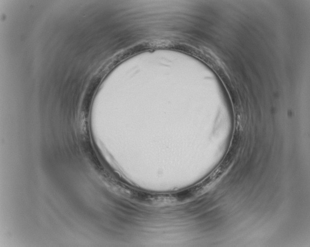 X0000069400549200606091744