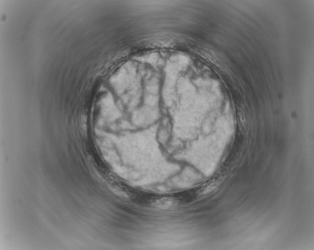 X0000069400551200606091744