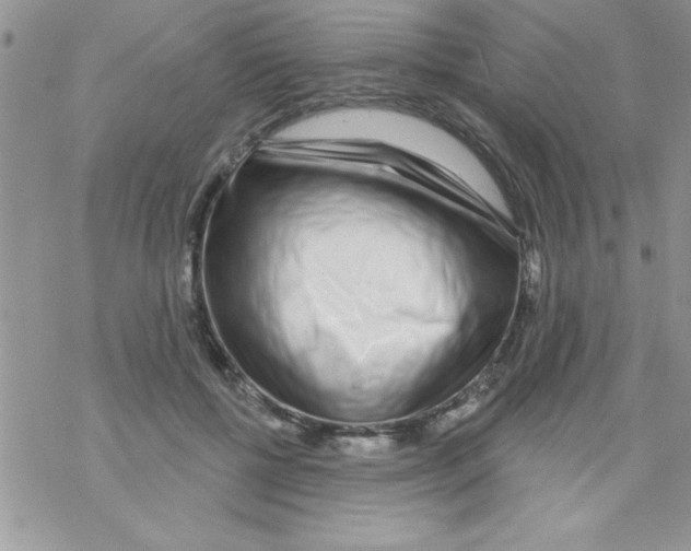 X0000069400552200606091744