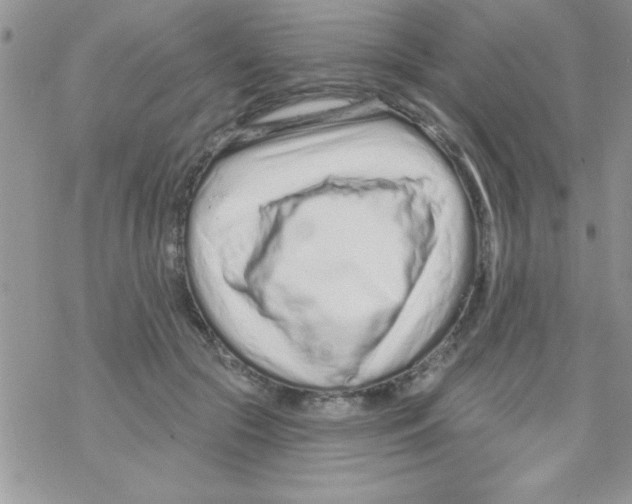 X0000069400553200606091744