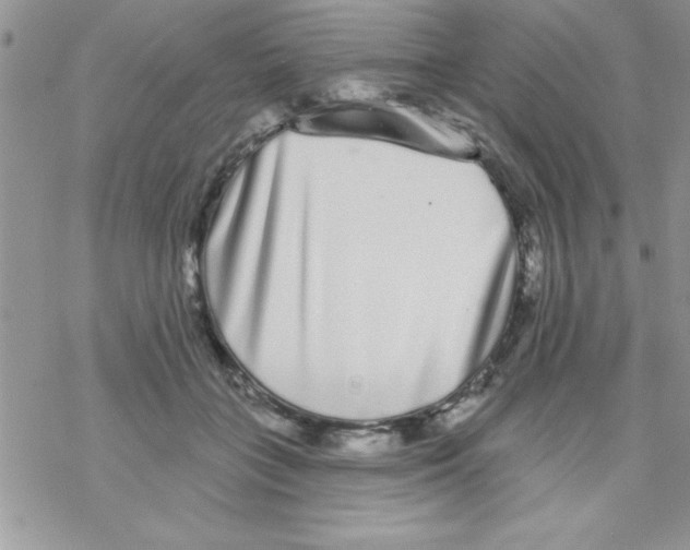 X0000069400555200606091744