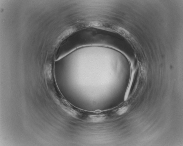 X0000069400556200606091744