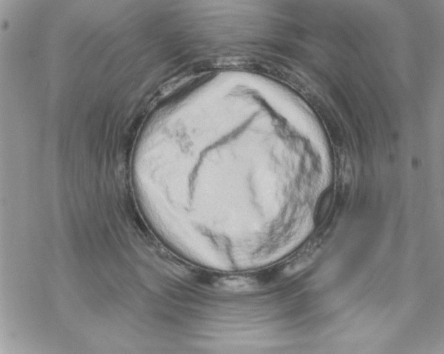 X0000069400557200606091744