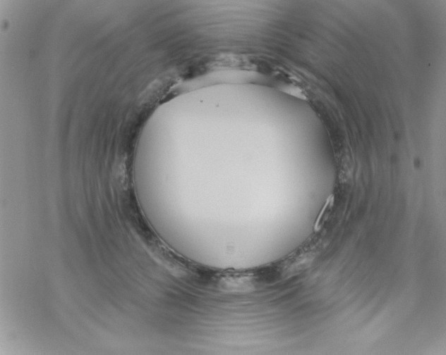 X0000069400560200606091744