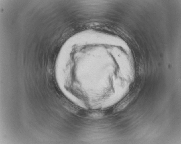 X0000069400561200606091744