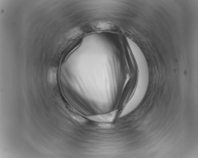 X0000069400562200606091744