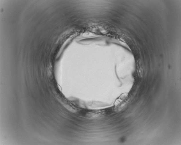 X0000069400563200606091744