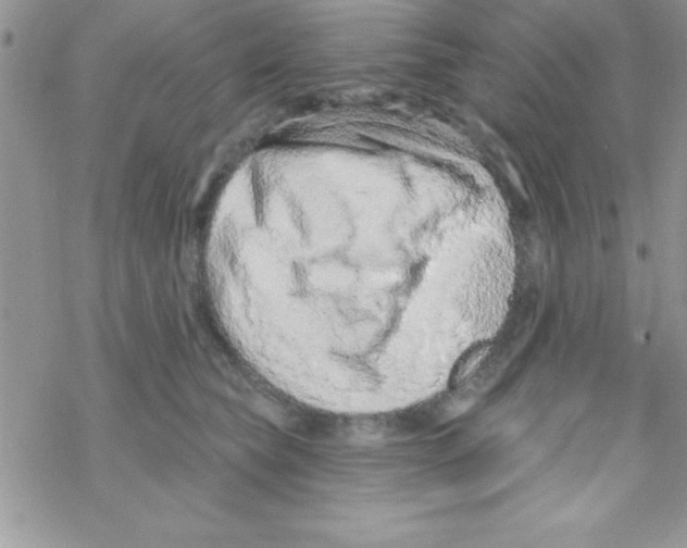 X0000069400565200606091744