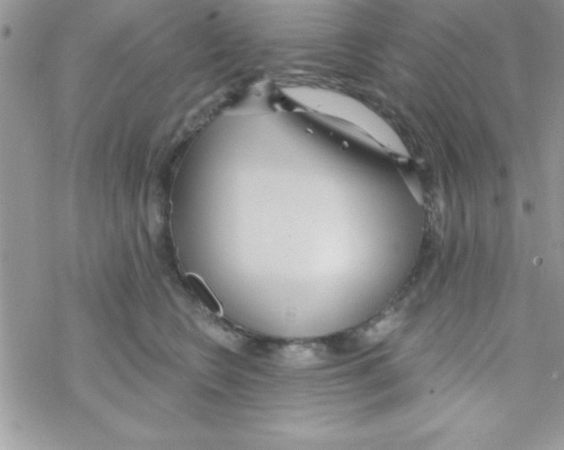 X0000069400566200606091744