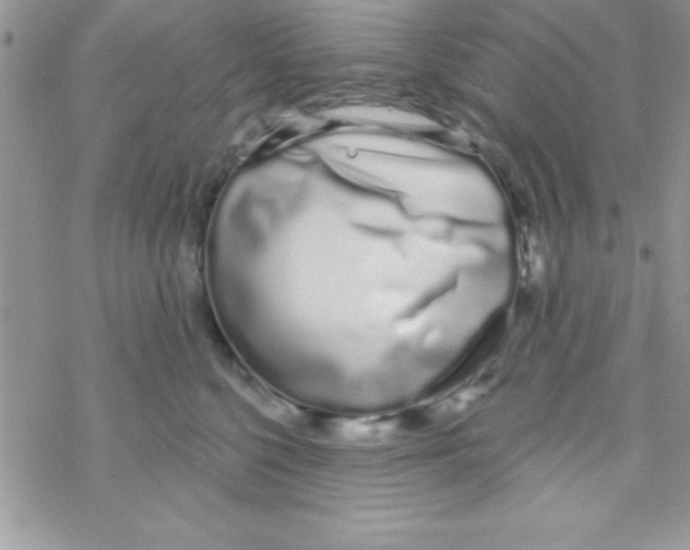 X0000069400568200606091744