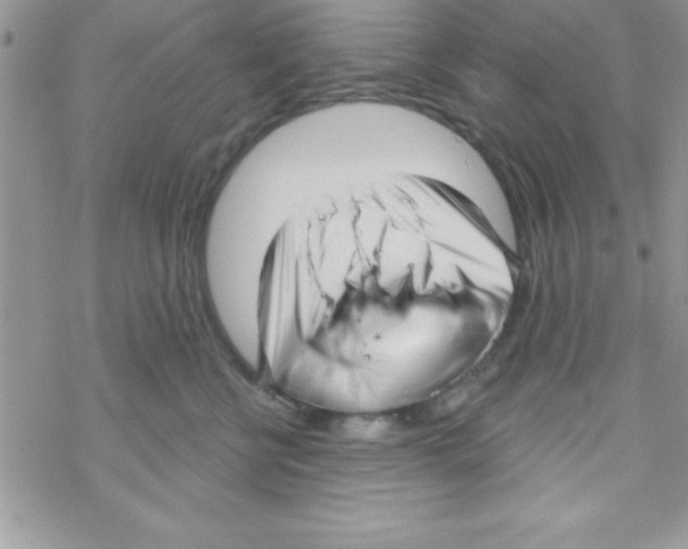 X0000069400570200606091744