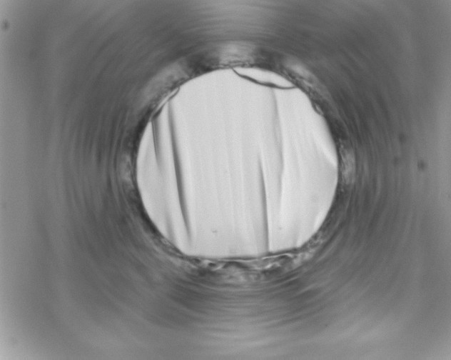 X0000069400571200606091744