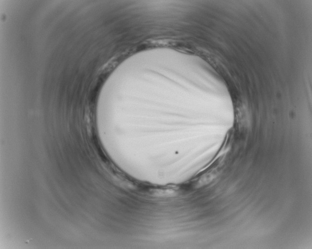 X0000069400572200606091744