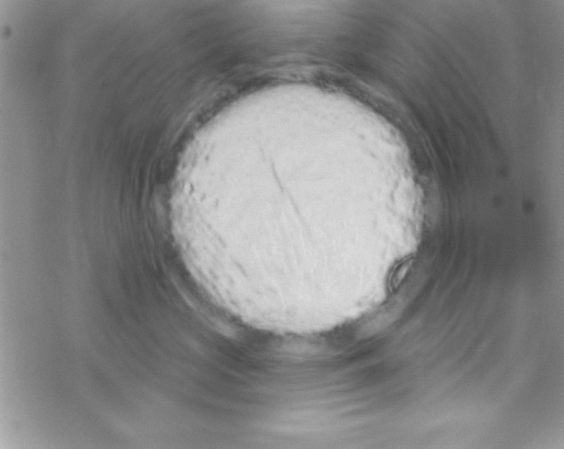 X0000069400573200606091744