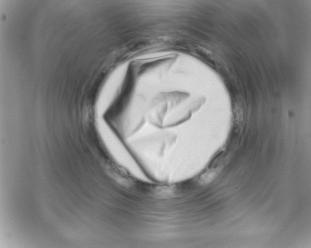 X0000069400574200606091744