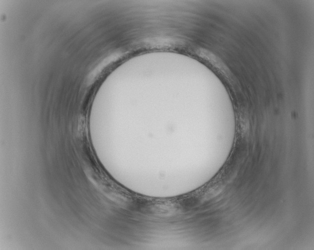 X0000069400583200606091744