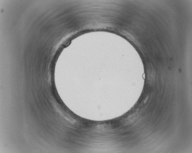 X0000069400584200606091744