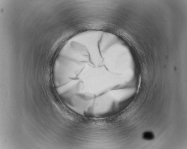 X0000069400586200606091744