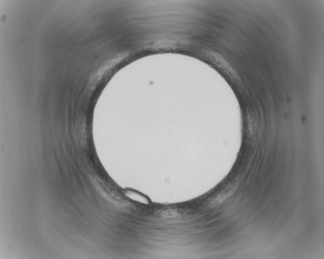 X0000069400588200606091743