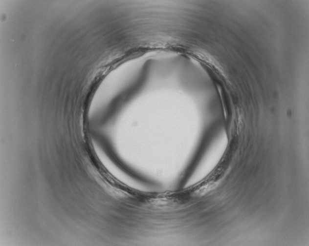 X0000069400589200606091743