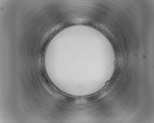 X0000069400591200606091743