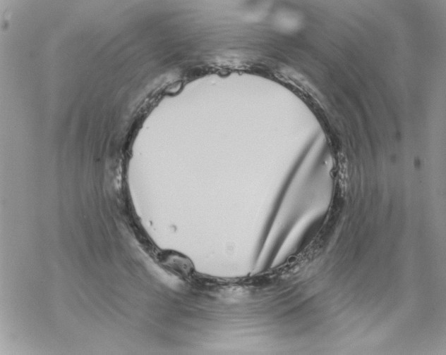 X0000069400593200606091743