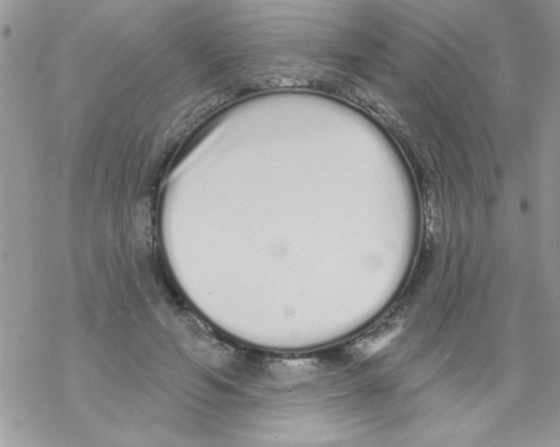 X0000069400594200606091743