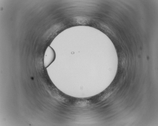 X0000069400595200606091743