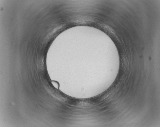 X0000069400596200606091743