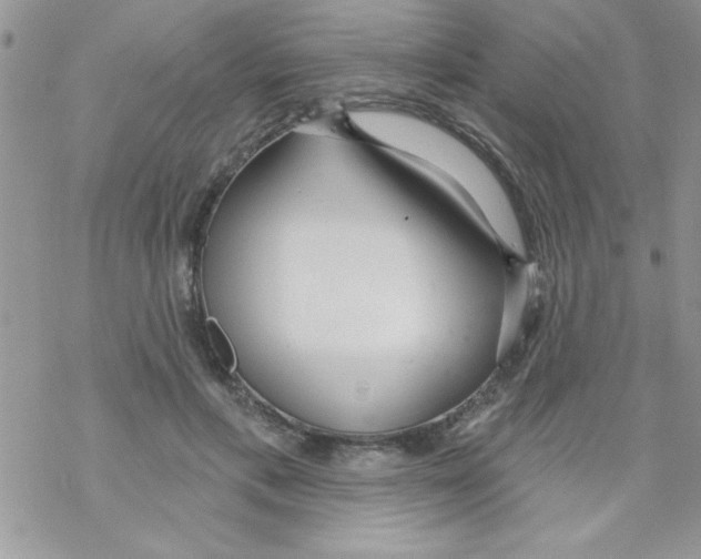 X0000069400597200606091743