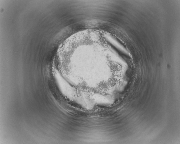 X0000069400598200606091743