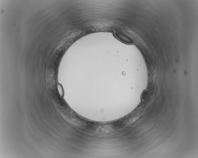 X0000069400599200606091743