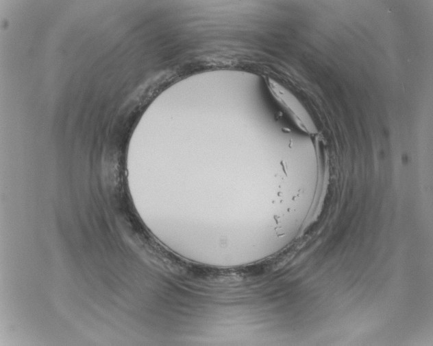 X0000069400600200606091743