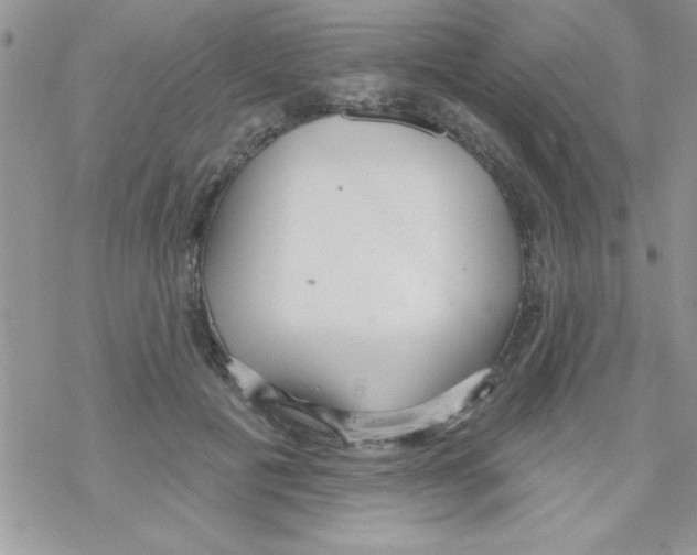 X0000069400601200606091743