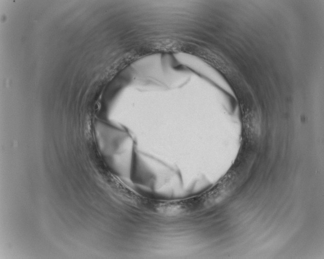 X0000069400602200606091743