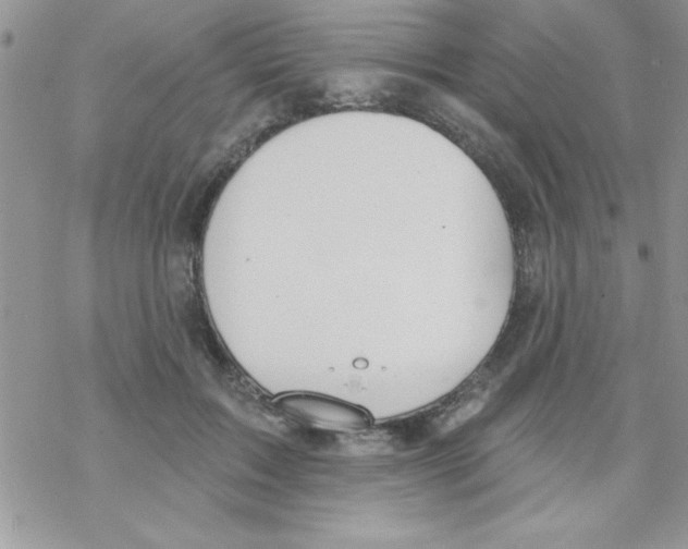 X0000069400603200606091743