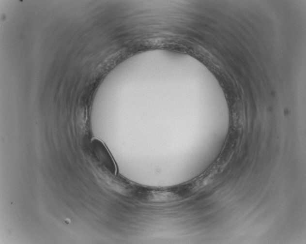 X0000069400605200606091743