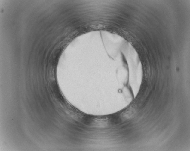 X0000069400606200606091743