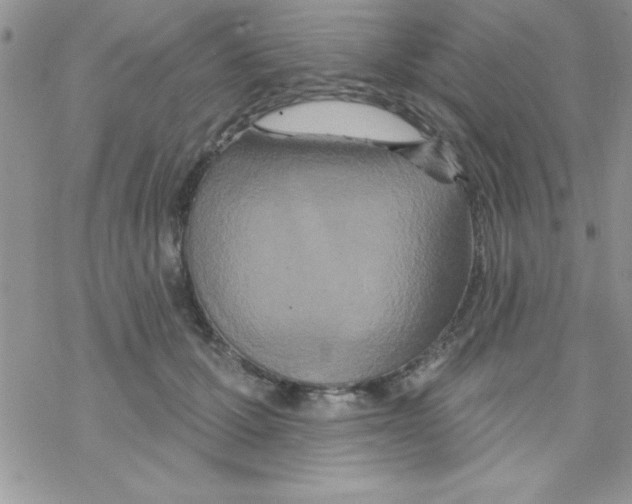 X0000069400607200606091743