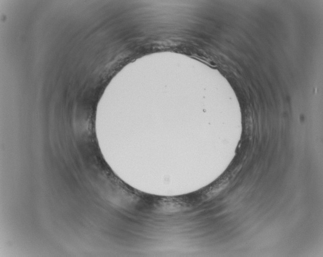 X0000069400608200606091743