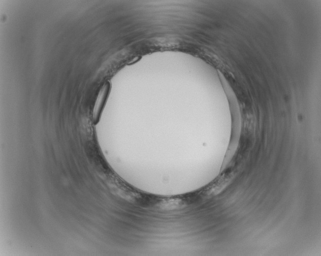 X0000069400609200606091743