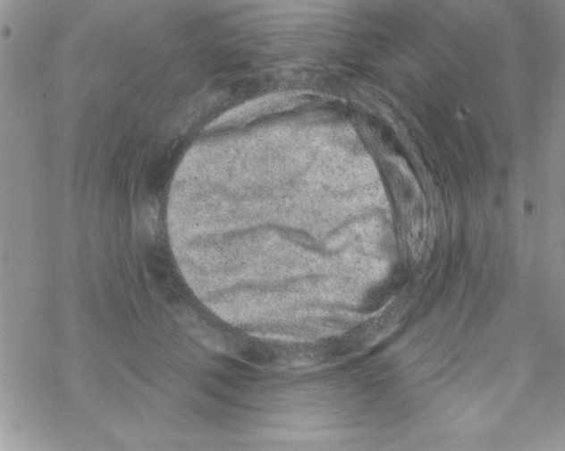 X0000069400610200606091743