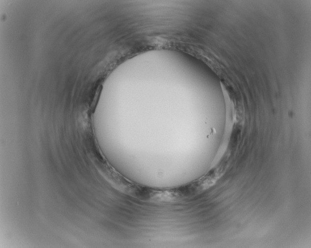 X0000069400611200606091743