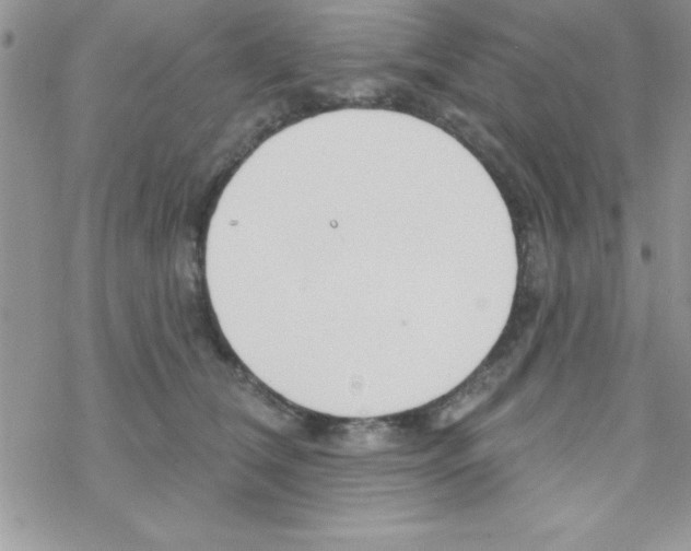 X0000069400612200606091743