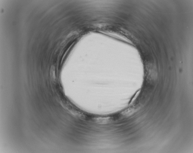 X0000069400615200606091743