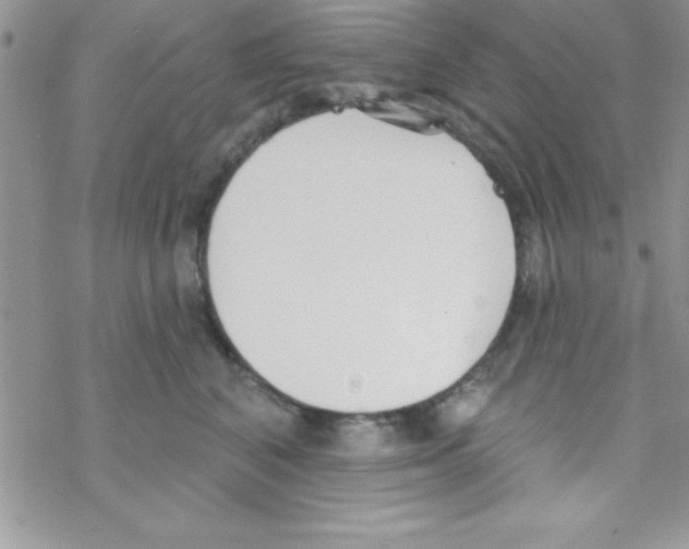 X0000069400616200606091743