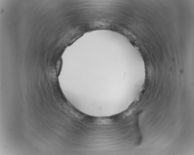 X0000069400617200606091743